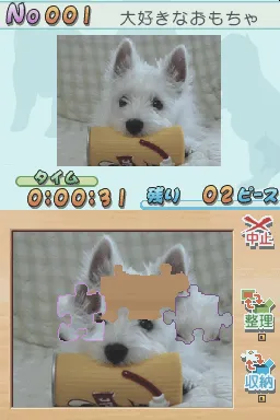 Snapshot